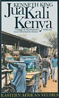 Jua Kali Kenya: Change and Development in an Informal Economy, 1970-1995