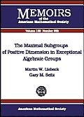 Maximal Subgroups of Positive Dimension