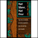 Not Slave Not Free The African Economic Experience Since the Civil War