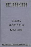 Out in Culture: Gay, Lesbian and Queer Essays on Popular Culture