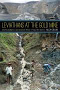 Leviathans at the Gold Mine: Creating Indigenous and Corporate Actors in Papua New Guinea