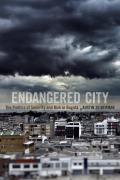 Endangered City: The Politics of Security and Risk in Bogot?