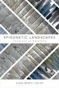 Epigenetic Landscapes Drawings as Metaphor