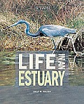 Life in an Estuary (Ecosystems in Action)