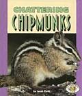 Chattering Chipmunks
