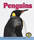 Penguins (Early Bird Nature)
