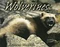 Wolverines