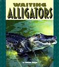 Waiting Alligators Pull Ahead Books