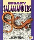 Sneaky Salamanders