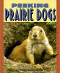 Peeking Prairie Dogs Pull Ahead