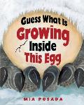 Guess What Is Growing Inside This Egg