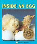 Inside An Egg Lerner Natural Science