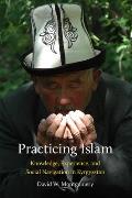 Practicing Islam: Knowledge, Experience, and Social Navigation in Kyrgyzstan