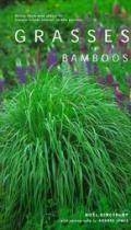 Grasses & Bamboos
