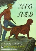 Big Red The Story of a Champion Irish Setter & a Trappers Son Who Grew Up Together Roaming the Wilderness