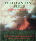 Yellowstone Fires Flames & Rebirth