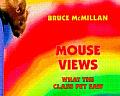 Mouse Views What The Class Pet Saw