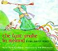 Last Snake in Ireland A Story about St Patrick