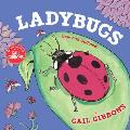Ladybugs New & Updated