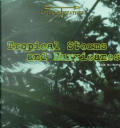 Tropical Storms & Hurricanes