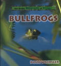 Bullfrogs The Really Wild Life Of Frogs