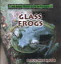Glass Frogs The Really Wild Life Of Frog