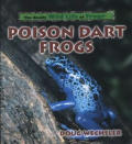 Poison Dart Frogs Really Wild Life Of Fr