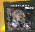 The Life Cycle of a Mouse