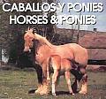 Caballos Y Ponies Horses & Ponies