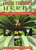 Ethnic Culinary Herbs: A Guide to Identification and Cultivation in Hawaii