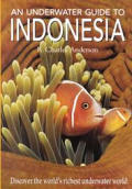 An Underwater Guide to Indonesia