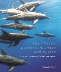Lives of Hawaiis Dolphins & Whales Natural History & Conservation