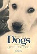 Stories Of Dogs & The Lives They Touch