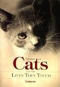 Stories Of Cats & The Lives They Touch