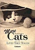 More Stories Of Cats & The Lives They To