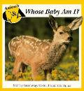 Whose Baby Am I Animals Q & A