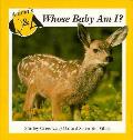 Animals Q&a Whose Baby Am I