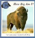 How Big Am I Animals Q & A