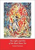 Light and Fire of the Baal Shem T