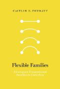 Flexible Families: Nicaraguan Transnational Families in Costa Rica