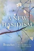 New Hasidism Branches