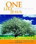One Like Jesus: Conversations on the Single Life