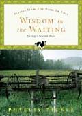 Wisdom in the Waiting: Spring's Sacred Days