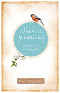 Small Mercies: Glimpses of God in Everyday Life