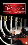 Hacia Una Teolog?a del Antiguo Testamento