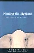 Naming the Elephant Worldview as a Concept