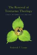 The Renewal of Trinitarian Theology: Themes, Patterns & Explorations
