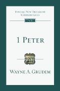 1 Peter: An Introduction and Commentary Volume 17