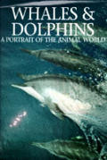 Whales & Dolphins A Portrait Of The An