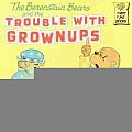 Berenstain Bears & the Trouble with Grownups